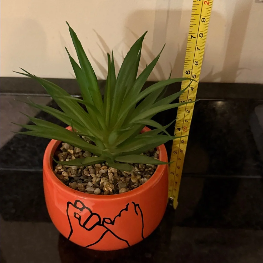 Two fake succulent plants in pots home or dorm decor
